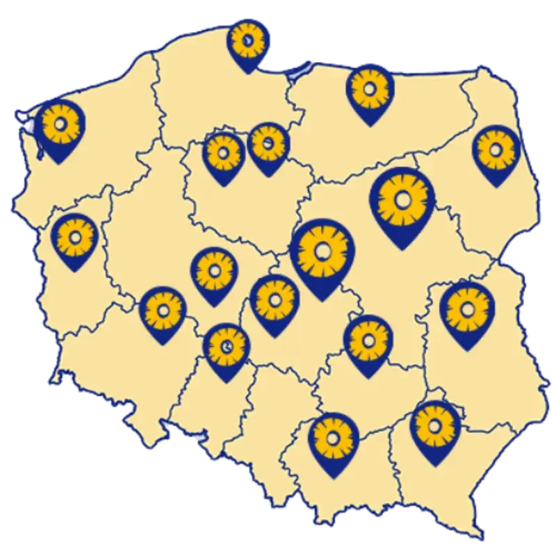 Catering dietetyczny Piastów